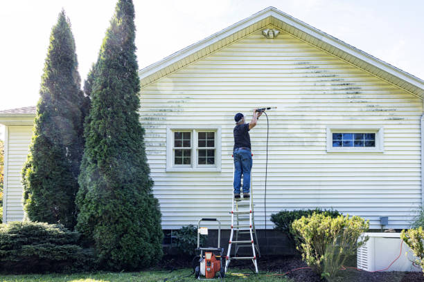 Professional Pressure washing in Sky Valley, CA